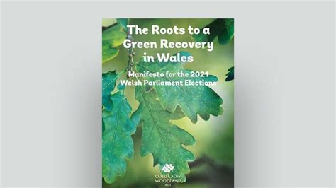 woodland trust wales|Woodland Trust .